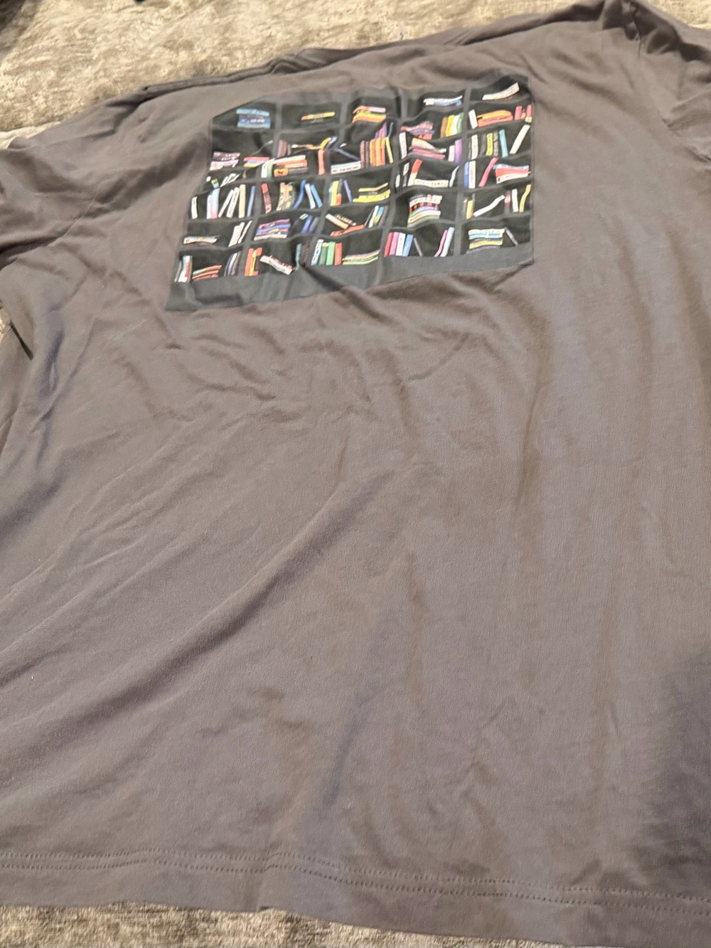 INDIGO GIRLS - grey concert tee from summer 2023 tour - SIZE 2XL
